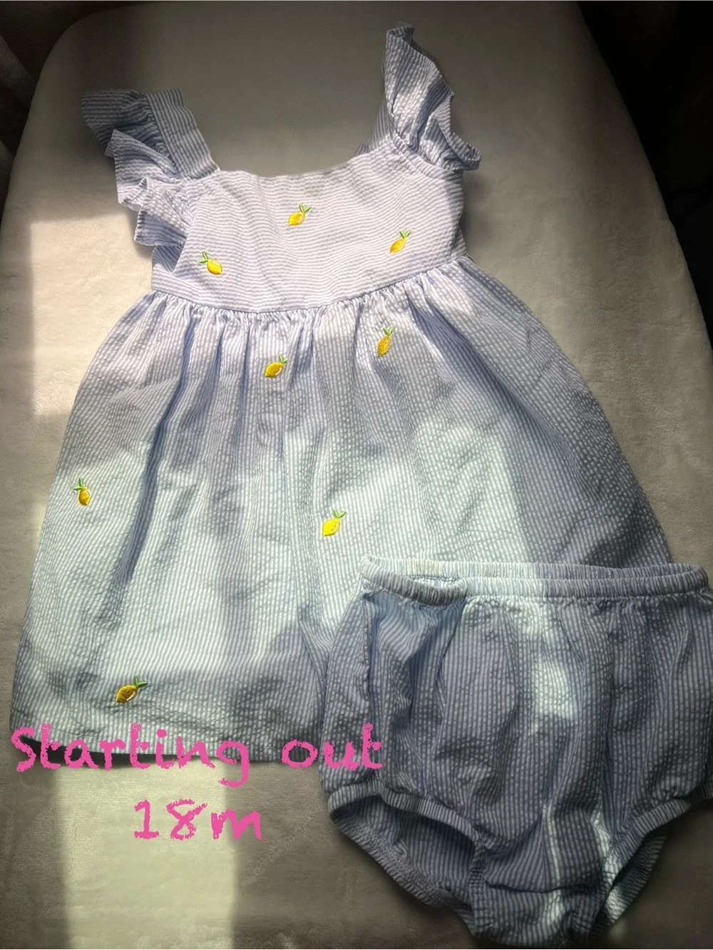 Carter's Light Blue and Yellow Lemon Embroidered Sundress